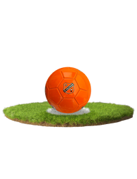 Minibal FC Volendam