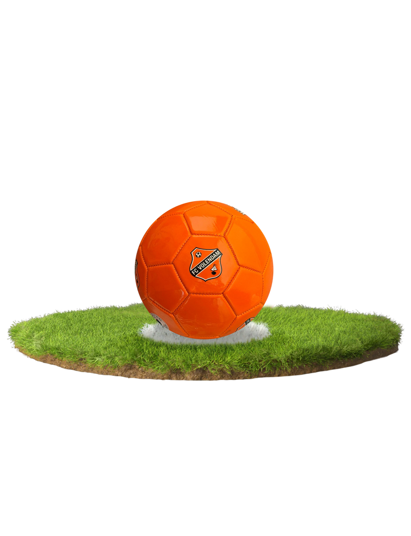 Minibal FC Volendam